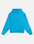 Realism Court Boxy Hoodie Unc
